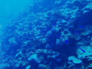 「無題」のサムネイル画像