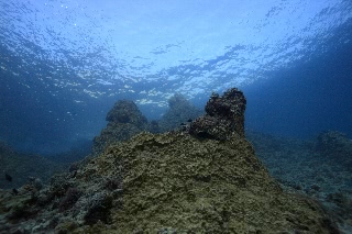 「無題」のサムネイル画像