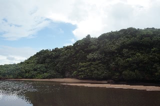 「無題」のサムネイル画像