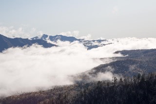 「無題」のサムネイル画像