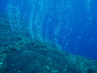 「泡」のサムネイル画像