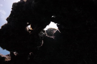 「無題」のサムネイル画像