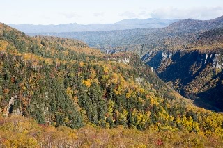 「無題」のサムネイル画像