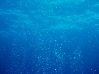 「泡」のサムネイル画像