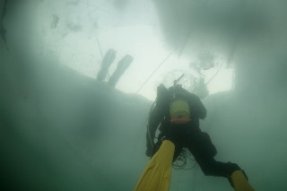「無題」のサムネイル画像