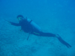 「体験ダイバー」のサムネイル画像