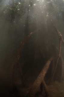 「無題」のサムネイル画像