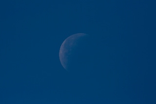 「無題」のサムネイル画像