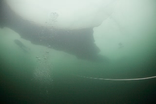 「無題」のサムネイル画像