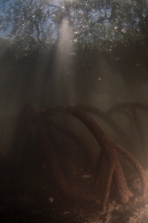 「無題」のサムネイル画像