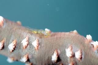 「無題」のサムネイル画像