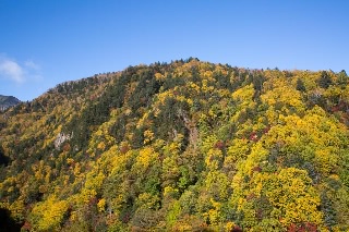 「無題」のサムネイル画像