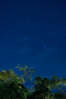 「南十字星(みなみじゅうじ座)」のサムネイル画像