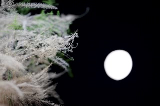 「無題」のサムネイル画像