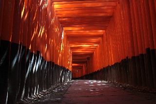 「鳥居」のサムネイル画像