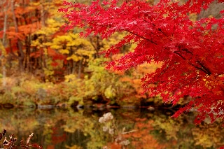 「弥六沼」のサムネイル画像