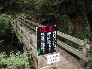 「無題」のサムネイル画像