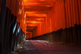 「朱の回廊」のサムネイル画像