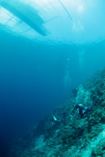 「無題」のサムネイル画像