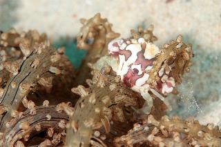 「無題」のサムネイル画像