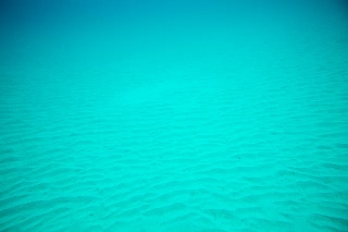 「無題」のサムネイル画像