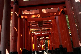 「無題」のサムネイル画像