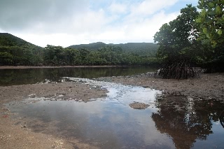 「無題」のサムネイル画像