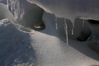 「無題」のサムネイル画像