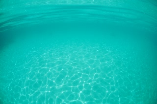 「無題」のサムネイル画像