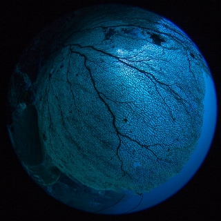 「無題」のサムネイル画像