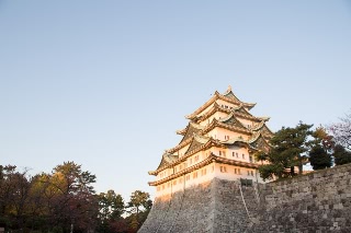 「無題」のサムネイル画像