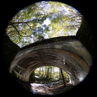 「士幌線五の沢橋梁跡」のサムネイル画像