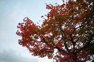 「無題」のサムネイル画像