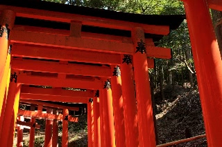 「無題」のサムネイル画像