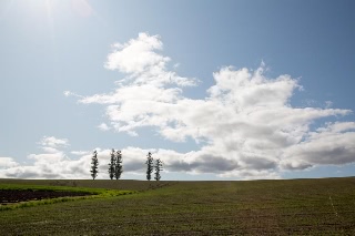 「無題」のサムネイル画像