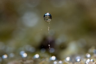 「無題」のサムネイル画像