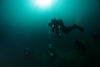 「無題」のサムネイル画像