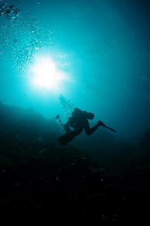 「無題」のサムネイル画像