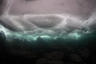 「無題」のサムネイル画像