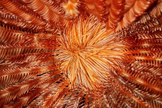 「無題」のサムネイル画像