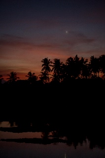 「無題」のサムネイル画像