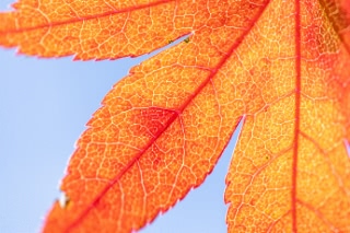 「無題」のサムネイル画像