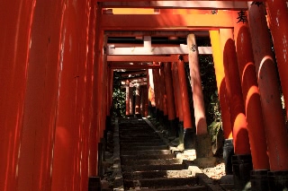 「無題」のサムネイル画像