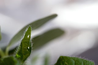 「無題」のサムネイル画像