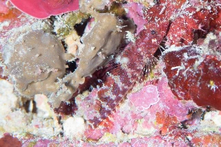 「無題」のサムネイル画像