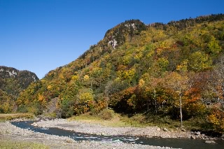 「無題」のサムネイル画像