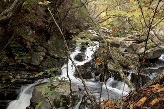 「夢窓の滝」のサムネイル画像