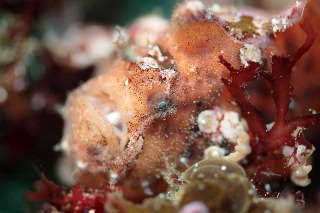 「無題」のサムネイル画像