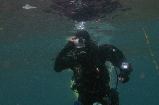 「無題」のサムネイル画像