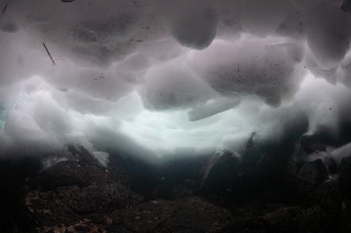 「無題」のサムネイル画像